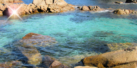 Beginner’s Guide to Rockpooling for Kids